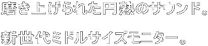 �����グ��ꂽ�~�n�̃T�E���h�B  �V����~�h���T�C�Y���j�^�[�B